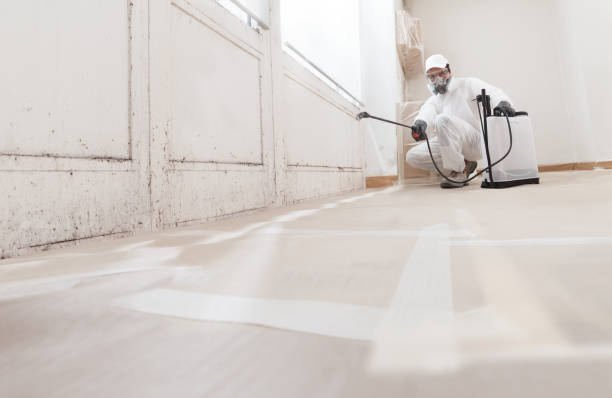 24/7 Emergency Mold Remediation experts in New Vernon, NJ