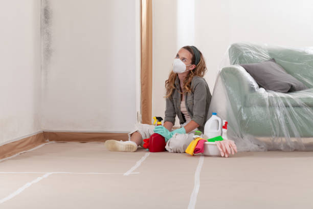 Reliable Mold Remediation contractor in New Vernon, NJ by 24 Hour Mold Removal